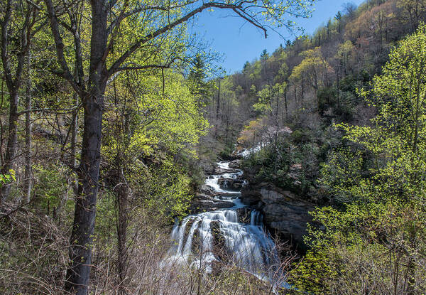 Cullasaja Falls Art Print featuring the photograph Cullasaja In The Spring Time by Chris Berrier