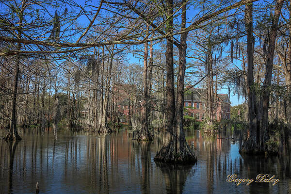 Ul Art Print featuring the photograph Cyprus Lake 2 by Gregory Daley MPSA