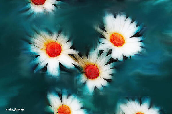 Flowers Art Print featuring the photograph Daisy Blue by Linda Sannuti
