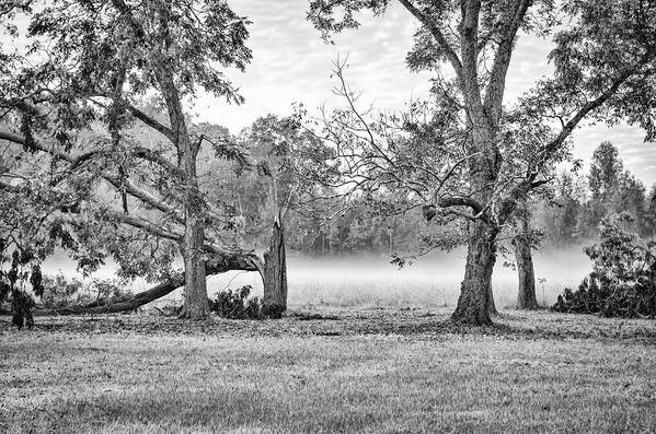 Fog Art Print featuring the photograph Dale - Foggy Morning by Scott Hansen