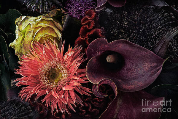 Botanical Art Print featuring the photograph Dark Bouquet by Ann Garrett