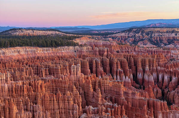 Bryce Canyon National Park Art Print featuring the photograph Dawn At Bryce by Jonathan Nguyen