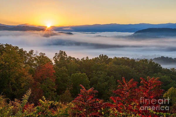 Great Smoky Mountains Art Print featuring the photograph Daybreak by Anthony Heflin