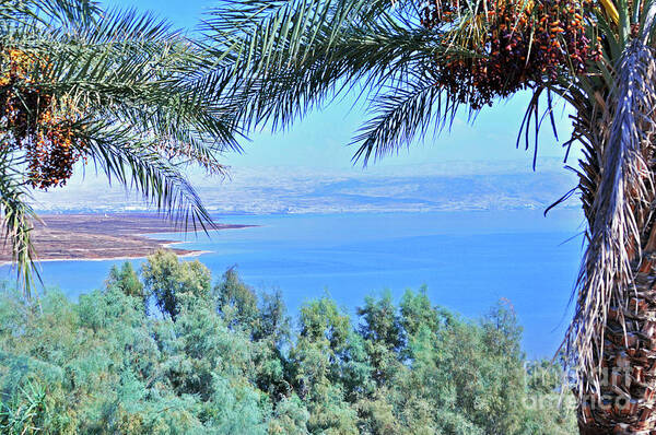 Dead Sea Art Print featuring the photograph Dead Sea Overlook by Lydia Holly