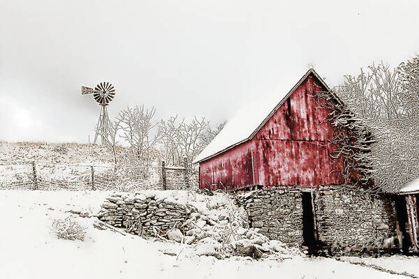 Barn Art Print featuring the photograph Decked in White by Nicki McManus