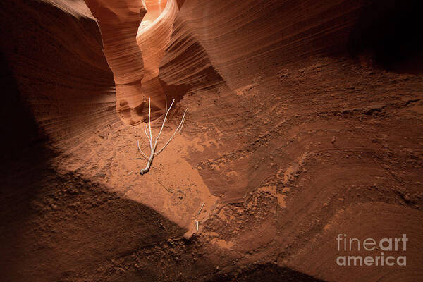  Lone Art Print featuring the photograph Deep Inside Antelope Canyon by Jim DeLillo