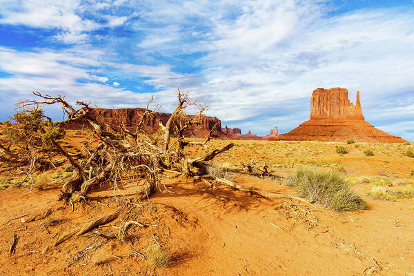 Monument Valley Art Print featuring the photograph Desert Life II by Raul Rodriguez