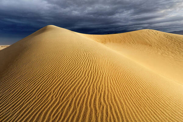 Desert Art Print featuring the photograph Desert Storm by Nicki Frates