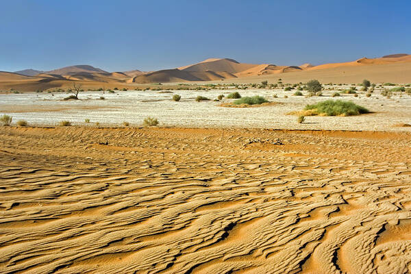 Texture Art Print featuring the photograph Desert Texture in Namib-Naukluft by Aivar Mikko