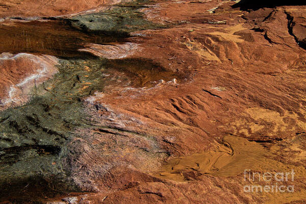 Lake Powell Art Print featuring the photograph Designs in Stone by Kathy McClure