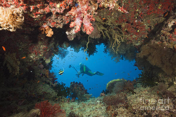 Diver Art Print featuring the photograph Diver And Coral Cave by Reinhard Dirscherl