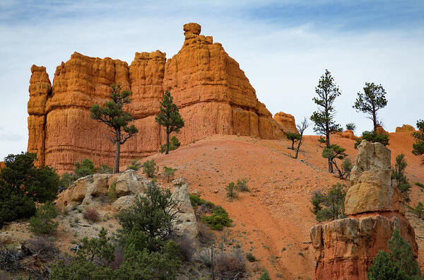 Dixie National Forest Art Print featuring the photograph Dixie National Forest by Kathleen Scanlan