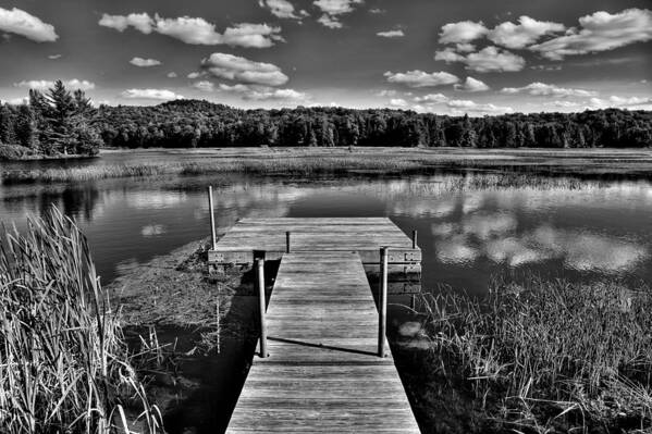 Early Summer On The Moose River Art Print featuring the photograph Dock on the Moose River by David Patterson