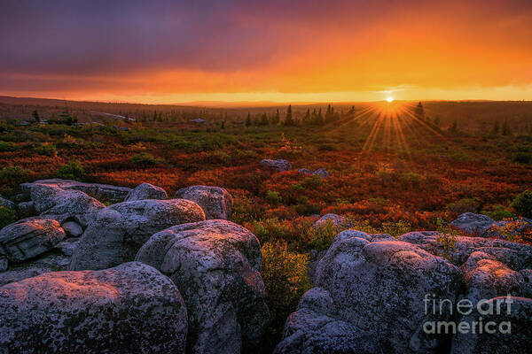Dolly Sods Art Print featuring the photograph Dolly Sods Sunset by Anthony Heflin