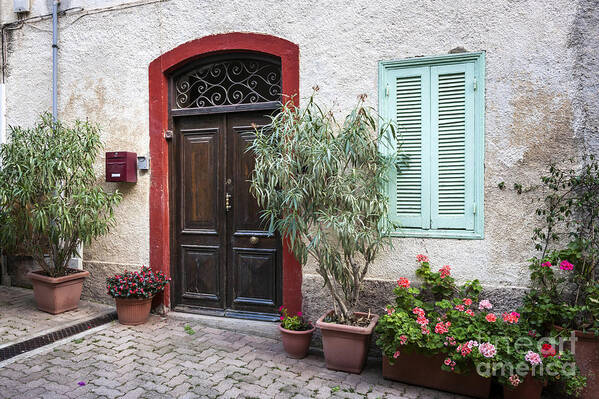 Door Art Print featuring the photograph Door and window by Elena Elisseeva