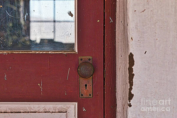 Door Art Print featuring the photograph Door Window Wall by Ana V Ramirez