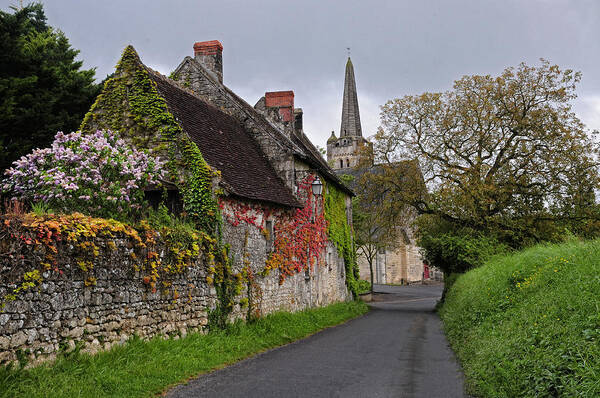 French Art Print featuring the photograph Down a French Country Lane in Spring by Dave Mills