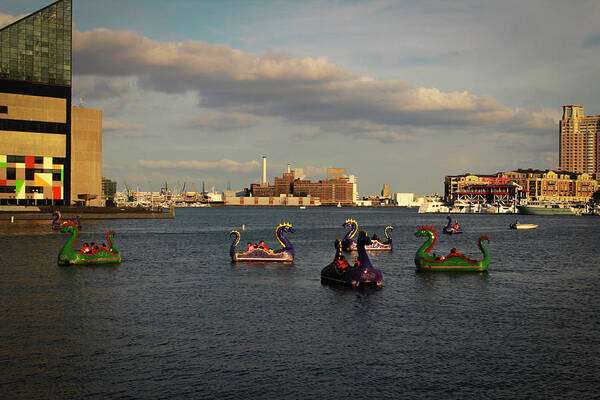 Dragon Art Print featuring the photograph Dragon Boats by Dr Janine Williams