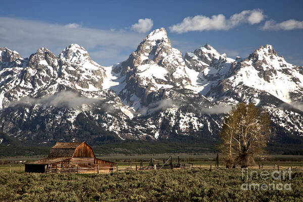 Moulton Barn Art Print featuring the photograph Dwarfed By The Teton Mountain ange by Adam Jewell