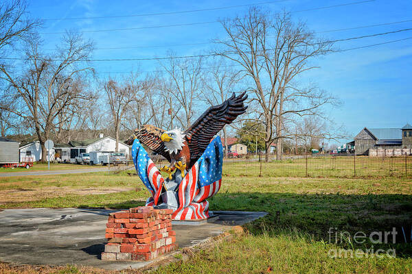 Georgia Art Print featuring the photograph Eagle by Lenore Locken
