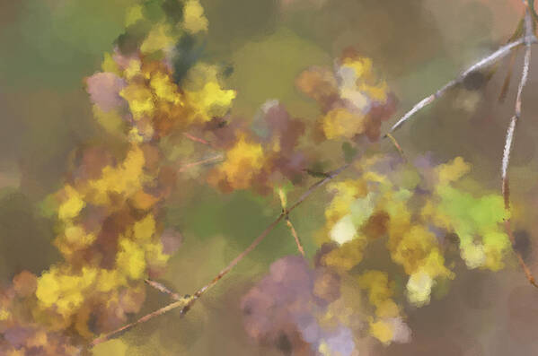 Leaves Art Print featuring the digital art Early Fall Leaves by Jim Proctor