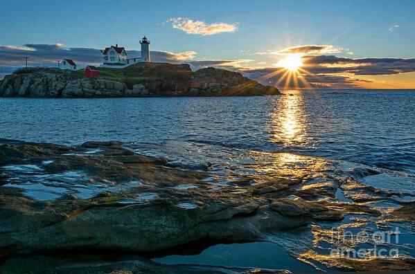 Nubble Art Print featuring the photograph Early Morning at the Nubble by Steve Brown