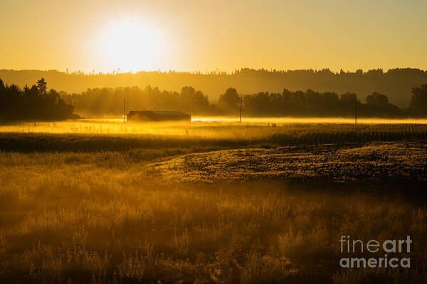 Corn Art Print featuring the photograph Early Morning in the Valley by Mary Jane Armstrong