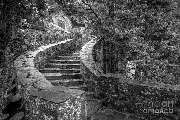 Baptist Art Print featuring the photograph Eastern University Stone Stairway Detail by University Icons
