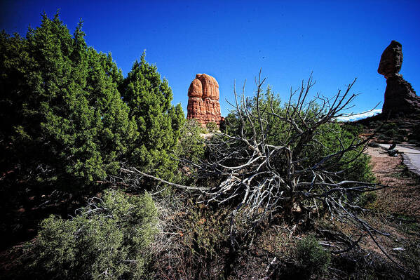 Arches National Park Art Print featuring the photograph Edge Of Life Arches by Lawrence Christopher