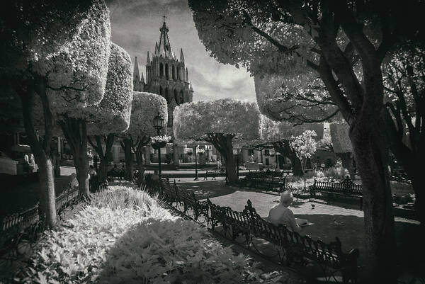 San Miguel De Allende Art Print featuring the photograph el Jardin by Sean Foster