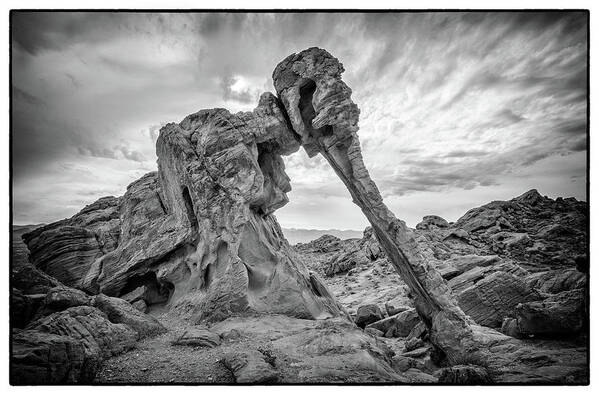American Southwest Art Print featuring the photograph Elephant Rock, Valley of Fire by James Capo