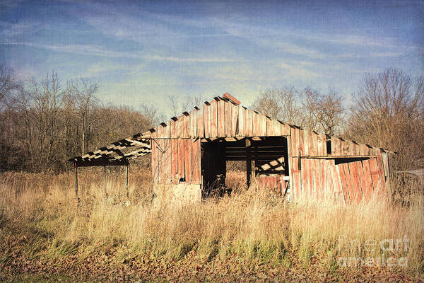 Nature Art Print featuring the photograph Eli's Barn by Sharon McConnell