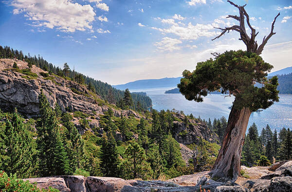 Emerald Bay Art Print featuring the photograph Emerald Bay III - Lake Tahoe - California by Bruce Friedman