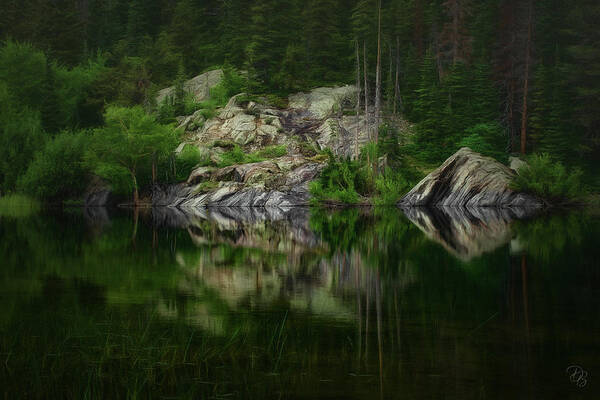 Colorado Art Print featuring the photograph Emerald Forest by Debra Boucher