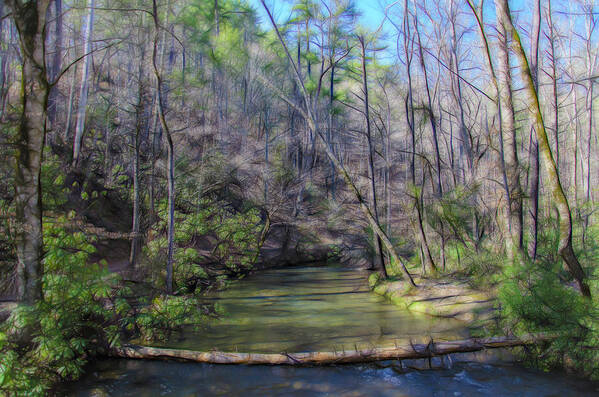 Water Art Print featuring the photograph Emerald Spring by Jim Cook