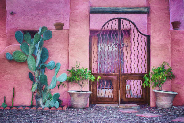 Entrada Art Print featuring the photograph Entrada - Barrio Historico - Tucson by Nikolyn McDonald