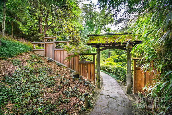 Entrance To Japanese Garden Maymont Park Virginia Bamboo Pathway Garden Trellis Archway Fence Gate Path Art Print featuring the photograph Entrance to Japanese Garden Maymont by Karen Jorstad