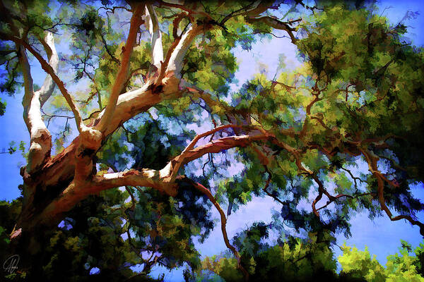 Trees Art Print featuring the digital art Eucalypt by Margaret Hormann Bfa