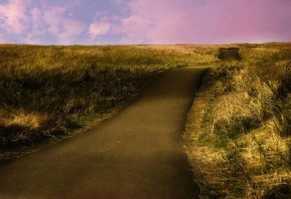 Nature Art Print featuring the photograph Evening Bike Trail by KATIE Vigil