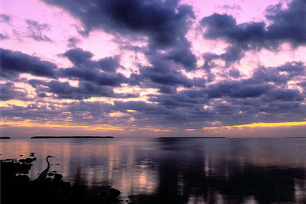 Sunrise Art Print featuring the photograph Everglades Sunrise by Alan Lenk