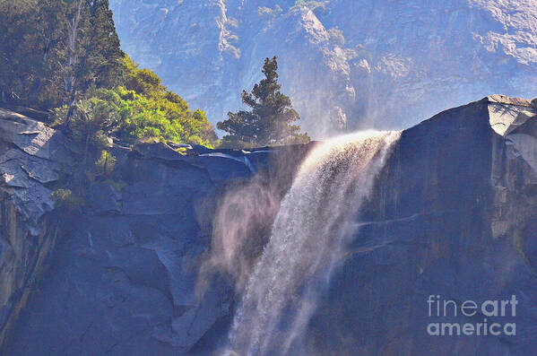 Yosemite Art Print featuring the photograph Evergreen Pines and Bridalveil Falls by Debby Pueschel