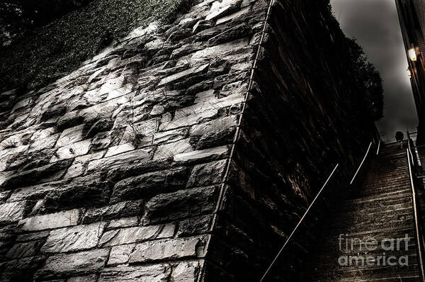 Exorcist Art Print featuring the photograph Exorcist Steps by Jonas Luis
