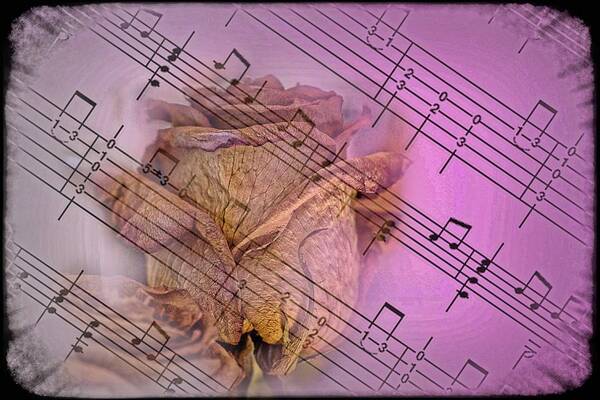 Music Art Print featuring the photograph Faded Music by Ches Black