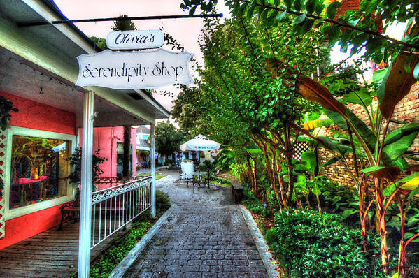 Fairhope Art Print featuring the photograph Fairhope French Quarters Serendipity by Michael Thomas