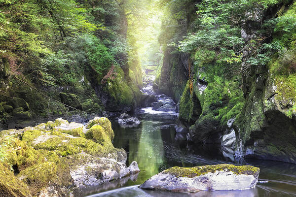 Fairy Glen Art Print featuring the photograph Fairy Glen - Wales by Joana Kruse