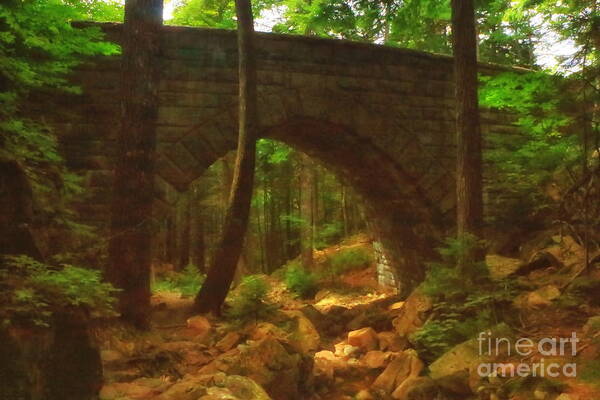 Acadia National Park Art Print featuring the photograph Fairy Tale Bridge by Elizabeth Dow