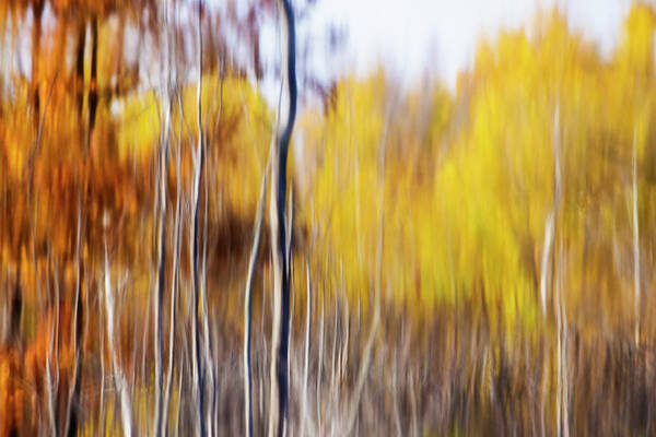 Abstract Art Print featuring the photograph Fall Abstract by Mircea Costina Photography