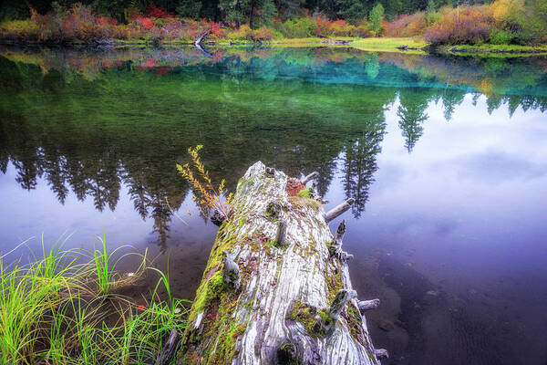 Lake Art Print featuring the photograph Fall at Clear Lake by Cat Connor