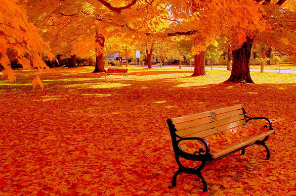 Fall Art Print featuring the photograph Fall Bench Newburyport MA by Suzanne DeGeorge