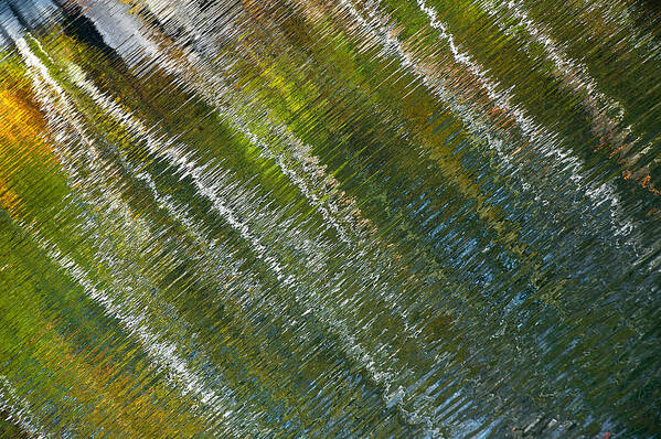 173 Fall Birches & Windy Water Abstract Impressionist Water Lake Pond Reflect Reflection Ripple Vermont Vt United States America Outside Outdoor Day Fall Autumn Horizontal Wide Blur Gradation Intricate Complex Complicated Texture Colorful Yellow Orange Green Blue White Color Country Steve Steven Maxx Photography Photo Photographs Art Print featuring the photograph Fall Birches and Windy Water by Steven Maxx